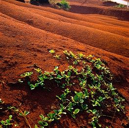 网传《生化危机8：村庄》将加入XGP 大家期待吗？